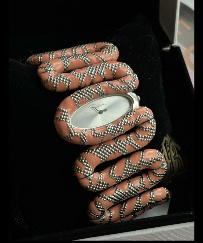 Montre Roberto Cavalli